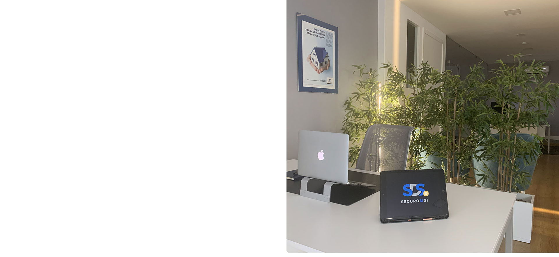 SDS Seguros Leiria - Soluções Personalizadas de Seguros